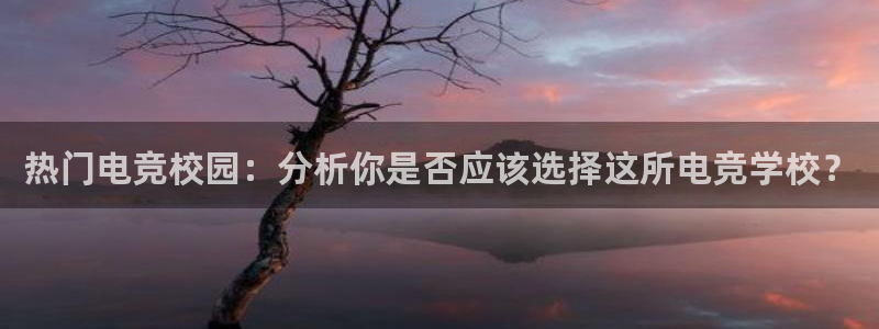 雷火电竞登陆：热门电竞校园：分析你是否应该选择这所电竞学校？