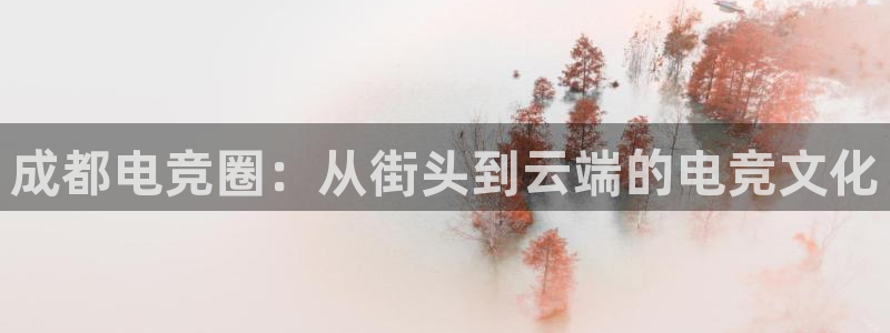 雷火电竞平台登录：成都电竞圈：从街头到云端的电竞文化