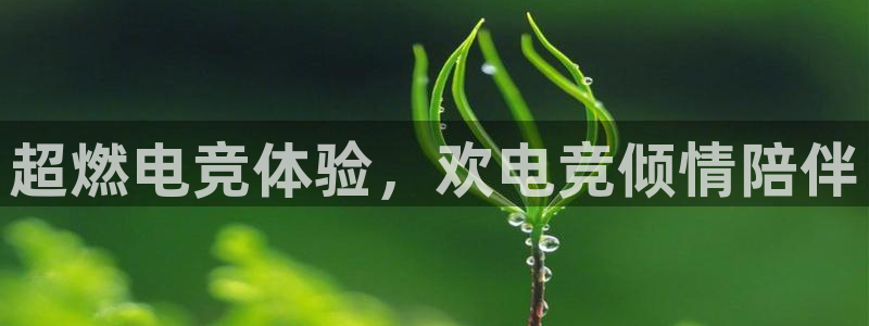 雷火电竞登陆：超燃电竞体验，欢电竞倾情陪伴