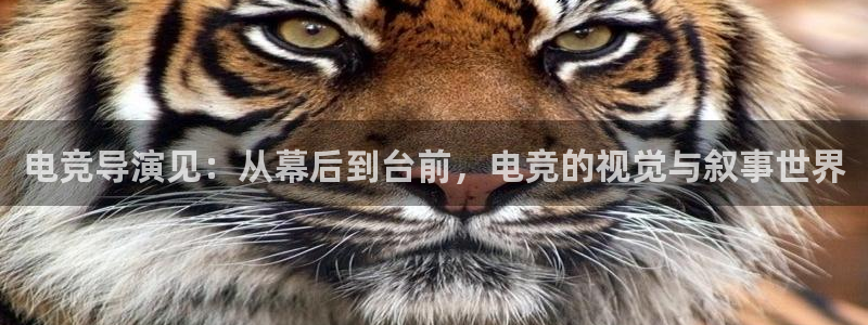 雷火电竞体育官网：电竞导演见：从幕后到台前，电竞的视觉与叙事世界