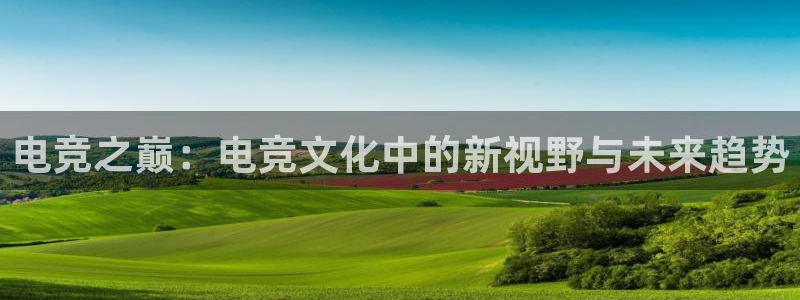 雷火电竞提款多久能到：电竞之巅：电竞文化中的新视野与未来趋势