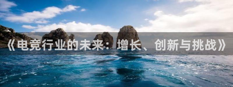 雷火电竞,亚洲电竞先驱：《电竞行业的未来：增长、创新与挑战》