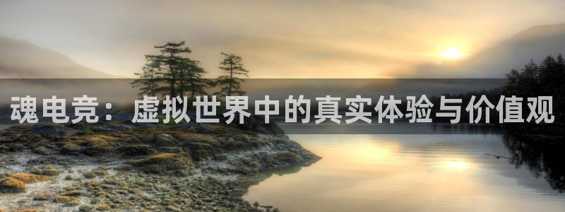 e8125雷火电竞官网：魂电竞：虚拟世界中的真实体验与价值观